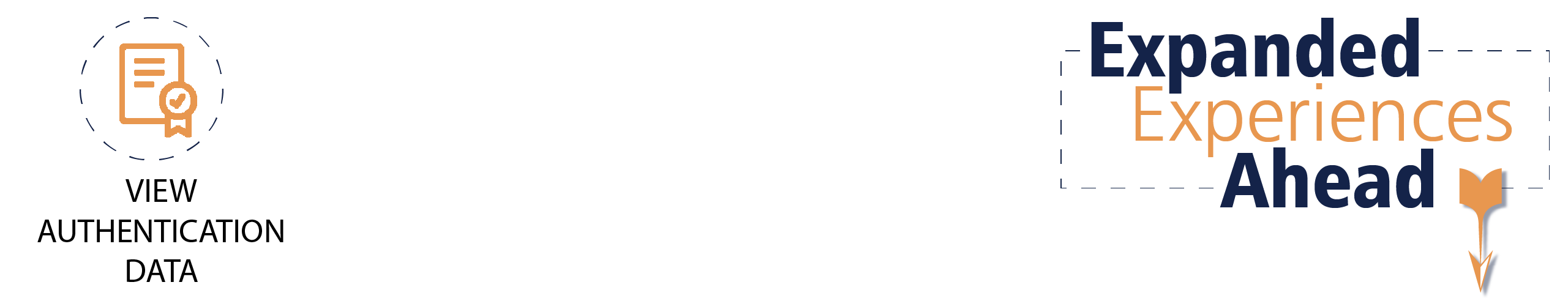 View Authentication Data - Expanded Experiences Ahead